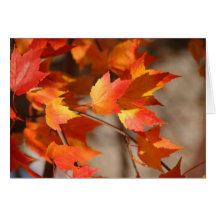 Leaves on Fire Notecard