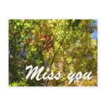 Leaves Postcard