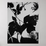 Leaves posters