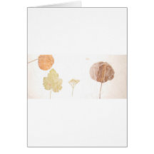 Leaves Under Tissue.jpg Cards