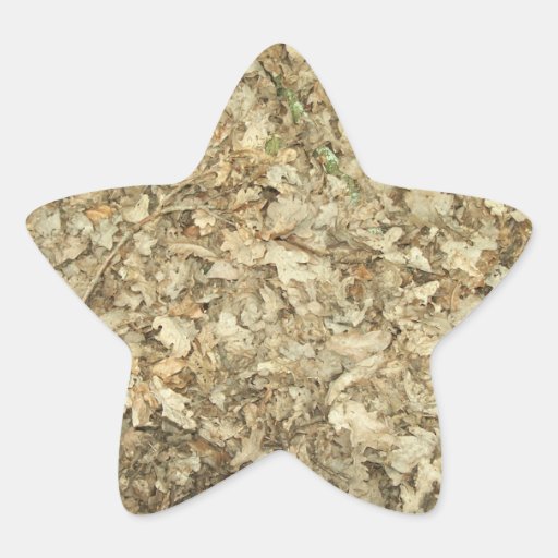 Leaves. Woodland floor. Leafy ground. Stickers