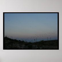 Leaving Carlsbad Print