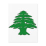 Lebanese Cedar Postcards