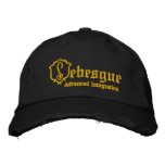 Lebesgue Integration embroidered hats