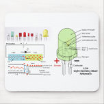 LED Light Emitting Diode Schematic mousepads
