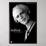 LEDFOOT - POSTERBOY2 posters