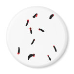 leech - bloodsuckers magnet