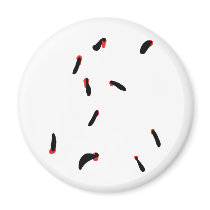 leech - bloodsuckers magnet