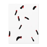 leech - bloodsuckers postcards