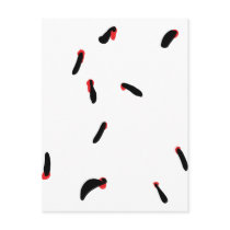 leech - bloodsuckers postcards