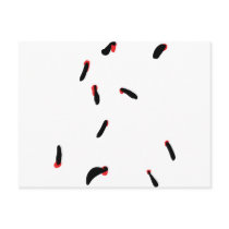 leech - bloodsuckers postcards