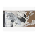 Leer Long Tree postcards