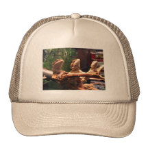 Leezard Trio Mesh Hats