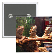 Leezard Trio Pinback Buttons