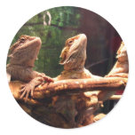 Leezard Trio Round Sticker