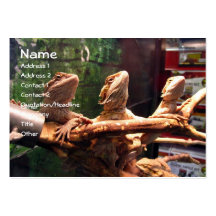 Leezerds Business Cards