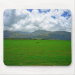 Leg Room NZ               ... Mousepad