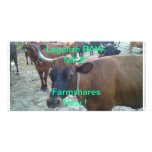 Legalise Raw Milk Farmshares Picture Card