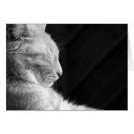 Legend of the Sphynx - Black & White cards
