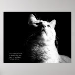 Legend's Light Poster