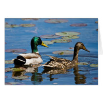 Leisurely  Paddle Greeting Card