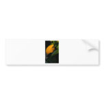 lemon bumper sticker
