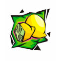 Lemon Disco t-shirts