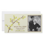 Lemon/Ivory Cherry Blossom Save the Date Photocard
