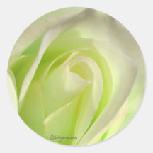 Lemon Lime Rose Wedding Envelope Seal Stickers