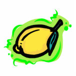 lemon photo sculptures