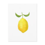 Lemon Postcard