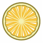 lemon slice photo sculptures