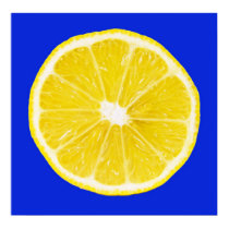 lemon slice posters