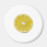 lemon slice refrigerator magnet
