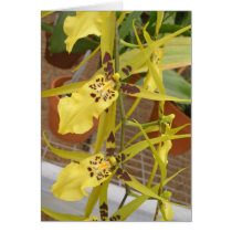 Lemon Spiders Card