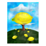 Lemon Tree Postcards
