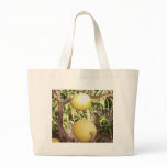 Lemons bags