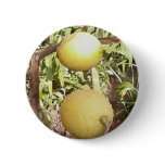 Lemons buttons