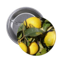 Lemons button badge