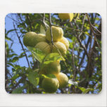 Lemons mousepads