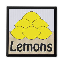 Lemons Series 2 Square Magnet magnets