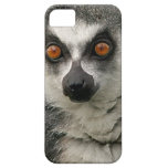 Lemur casemate cases