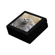 Lemur Baby  Gift Box