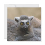 Lemur Baby Invitations