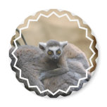 Lemur Baby  Magnet
