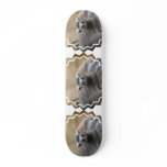 Lemur Baby Skateboard