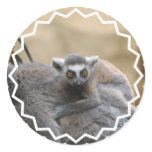 Lemur Baby  Stickers