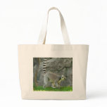 Lemur bags