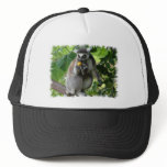 Lemur Baseball Cap hats