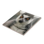 Lemur tiles